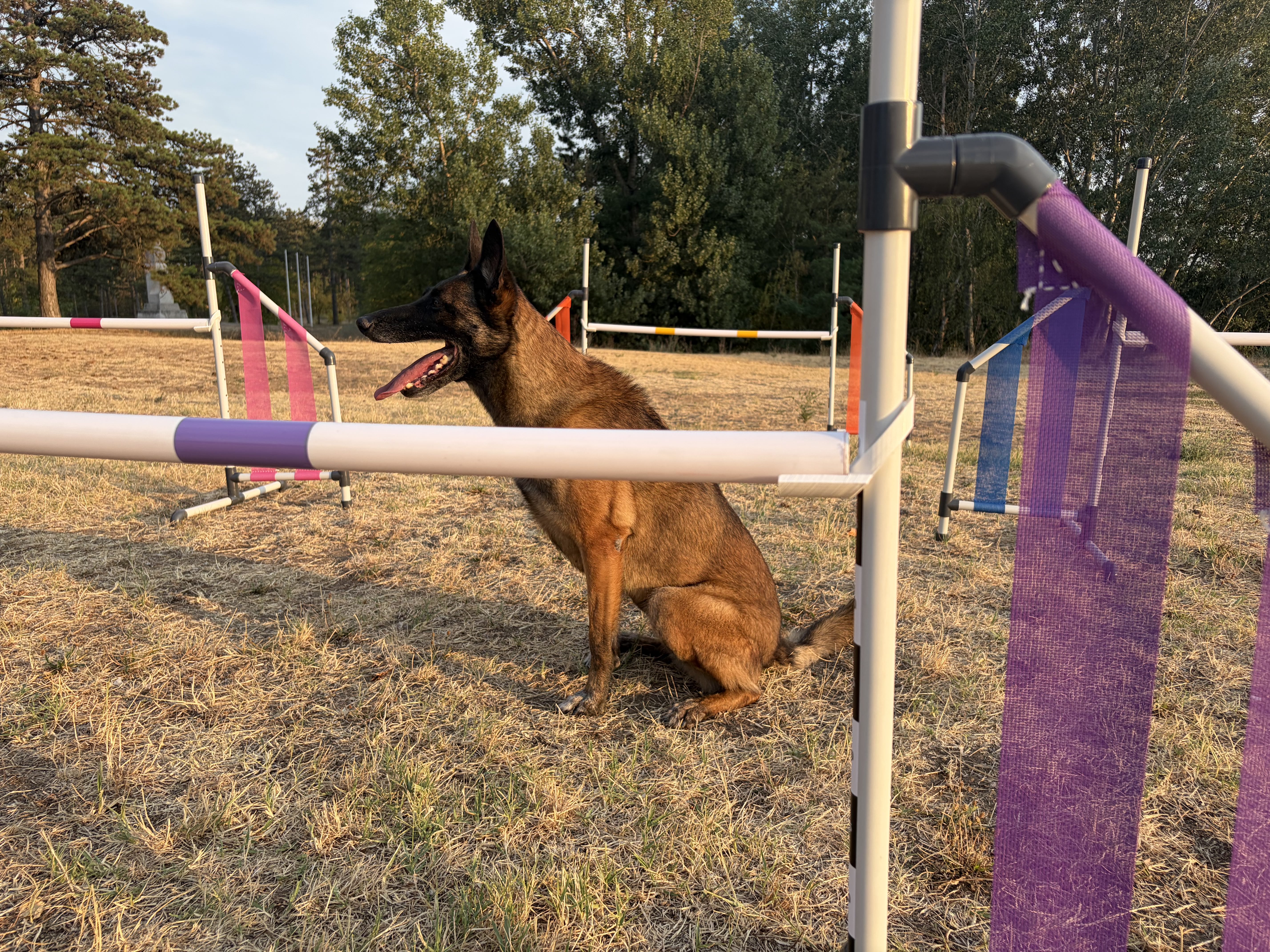PVC Plastic jump with mesh