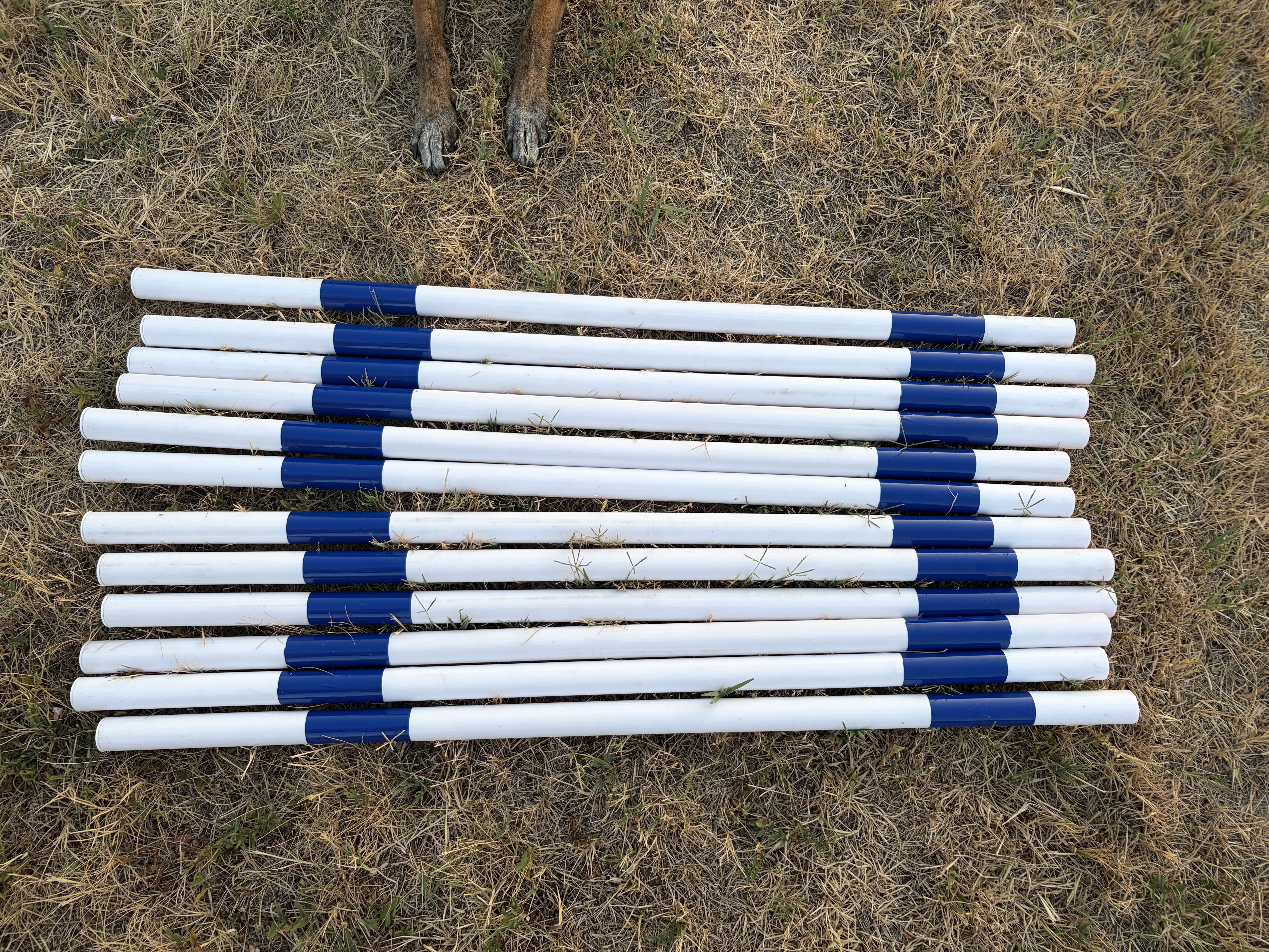 Slalom pole